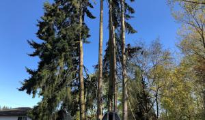 Jones Septic Services NY
