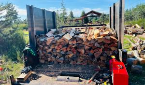 Roots Tree & Property Services