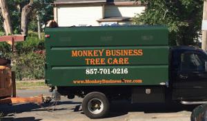 Monkey Business Tree Care