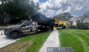 Top Notch Trees & Land Clearing