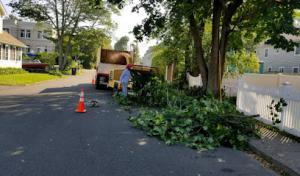 Mansfield Sanitation Services