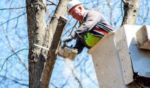 Highlander Tree Service