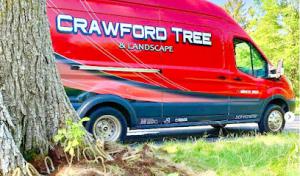 Crawford Tree & Landscape Services