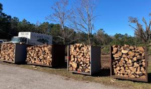 Tree Care by Robert Miller