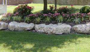 W E Fenderson Septic Pumping Service