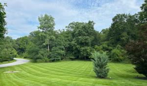 V Serrano's Landscaping