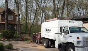 F&M Montoya Tree Service - Chicago & Palatine, IL.