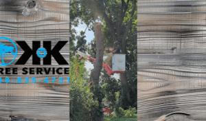 K N K Tree Service