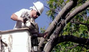 J&M Tree Service