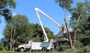 Big Chipper Tree Service