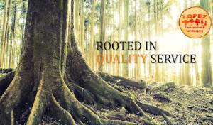 Lopez Tree Services