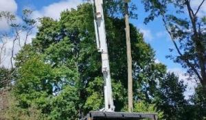 Sky's The Limit Tree Service