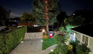 Mountain View Tree Service