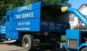Cutshall's Tree Service