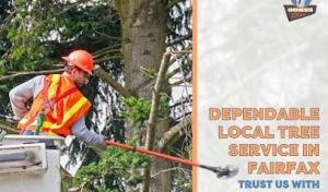 Sunset Construction & Excavation