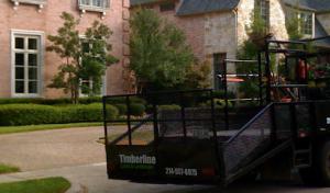 Timberline Lawn & Landscape