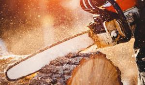 Scott's Tree Service