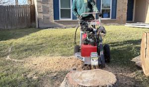 Ramirez Tree Service 512