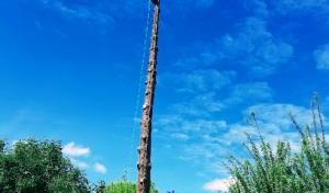 Arborsmith Tree Professionals