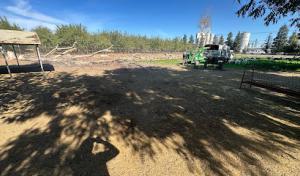 Custom Tree Care