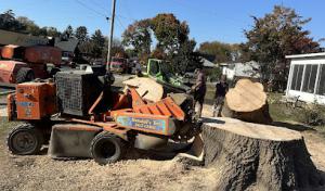 Kendall's Tree Service