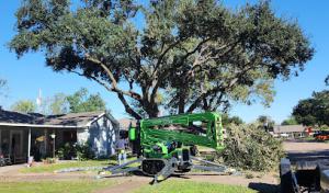 Deer Park Arbor Specialist