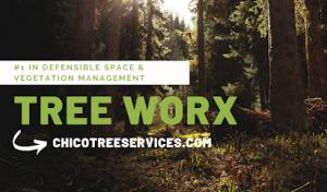 Tree Worx