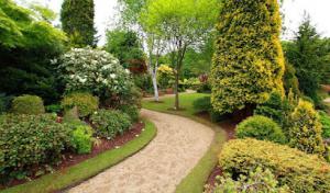 Green Planet Tree Service