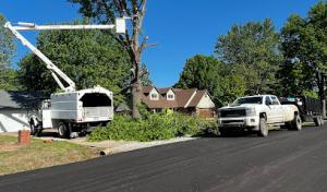 NexGen Tree Services