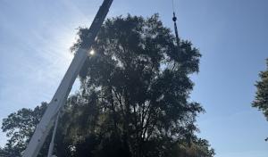 Seasonal Property Maintenance