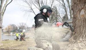 Patriot Tree Removal