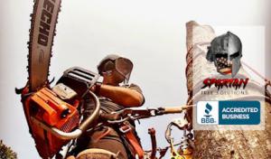 Spartan Tree Solutions