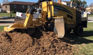 Little C Tree Service