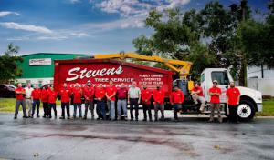 Stevens Tree Service