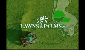 Lawns & Palms