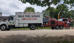 Halo Tree Service