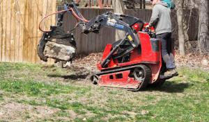 Tanzola Tree Service