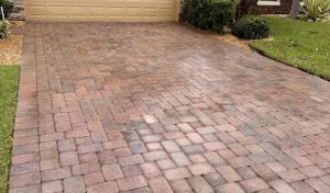 First Response Complete Tree Service & Property Management