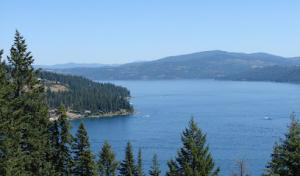 Budget Arbor & Logging