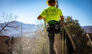 King Tree Service