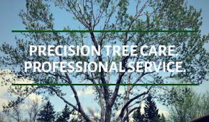 Green Empire Tree Service