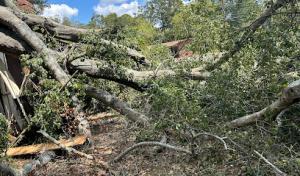 Foster's Tree Service