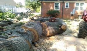 Advantage Tree Service