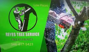 tree service Reyes