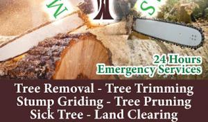 M & D Tree Services