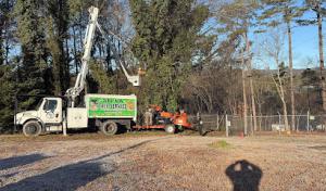 Silva Tree Service