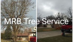 MRB Tree Service - Centerville, OH