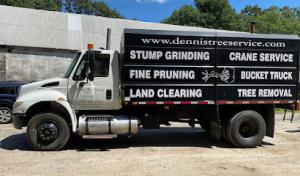 Dampier Septic Tank