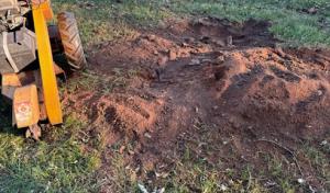 Tactical Arborist Tree Service