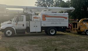 ArborTech Tree Removal